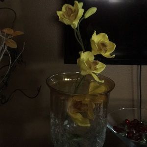 Meet your Posher, Raji